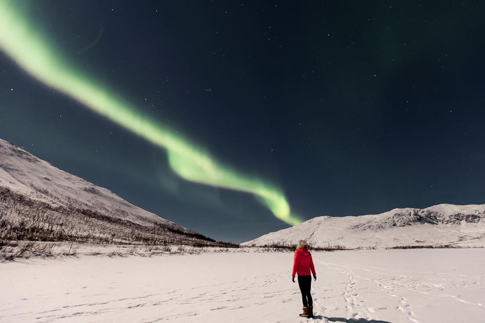 northern lights kvaløya tromsø Norway