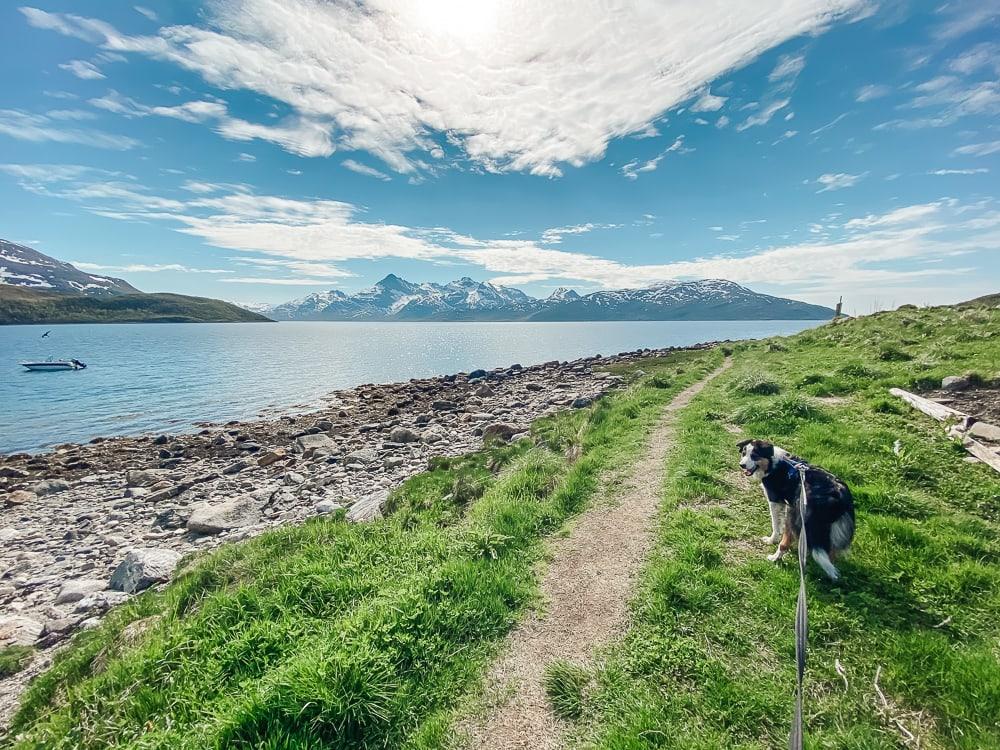 hiking in tromso norway