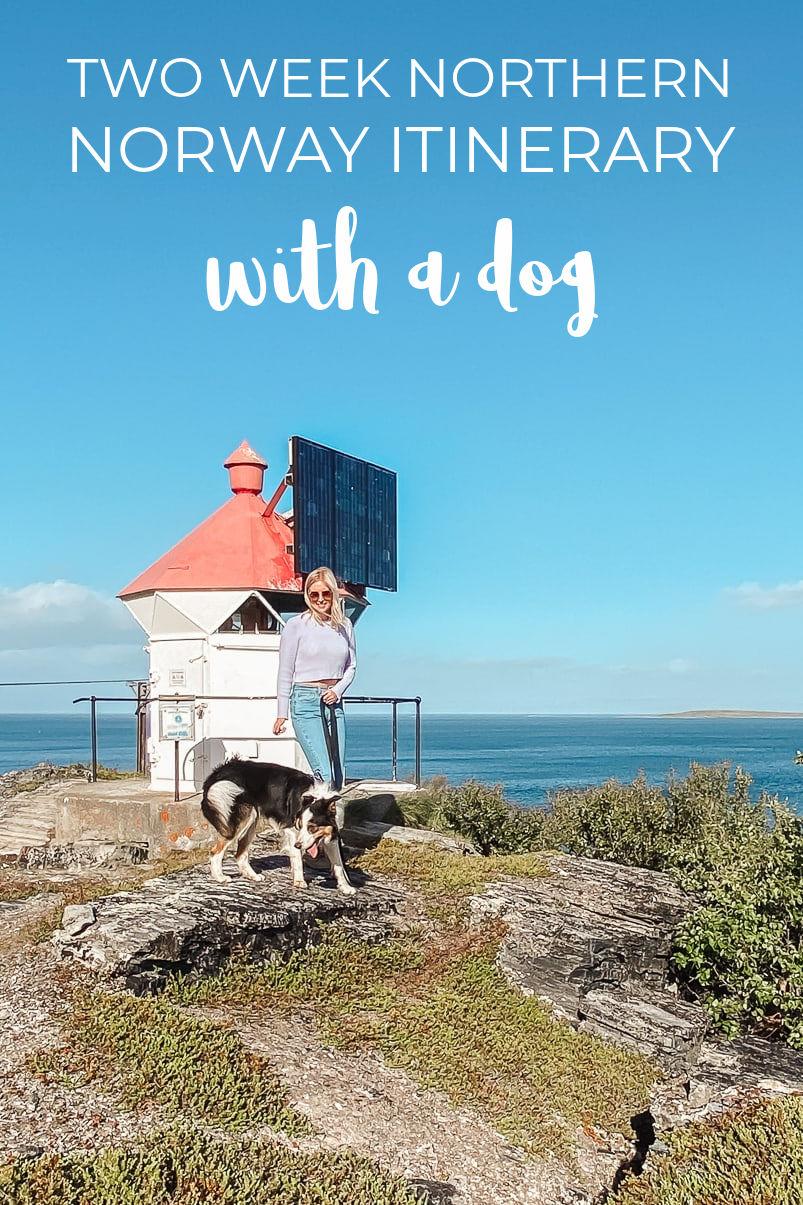 two week northern norway itinerary - with a dog