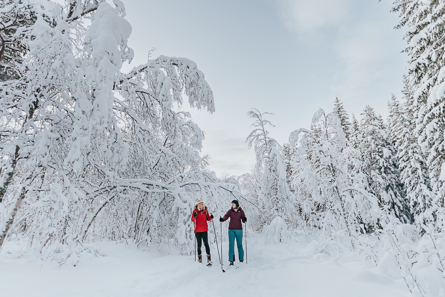 Norway in January