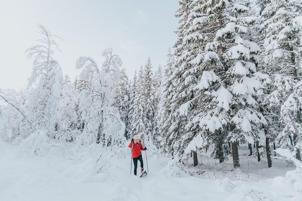 snowshoeing northern norway