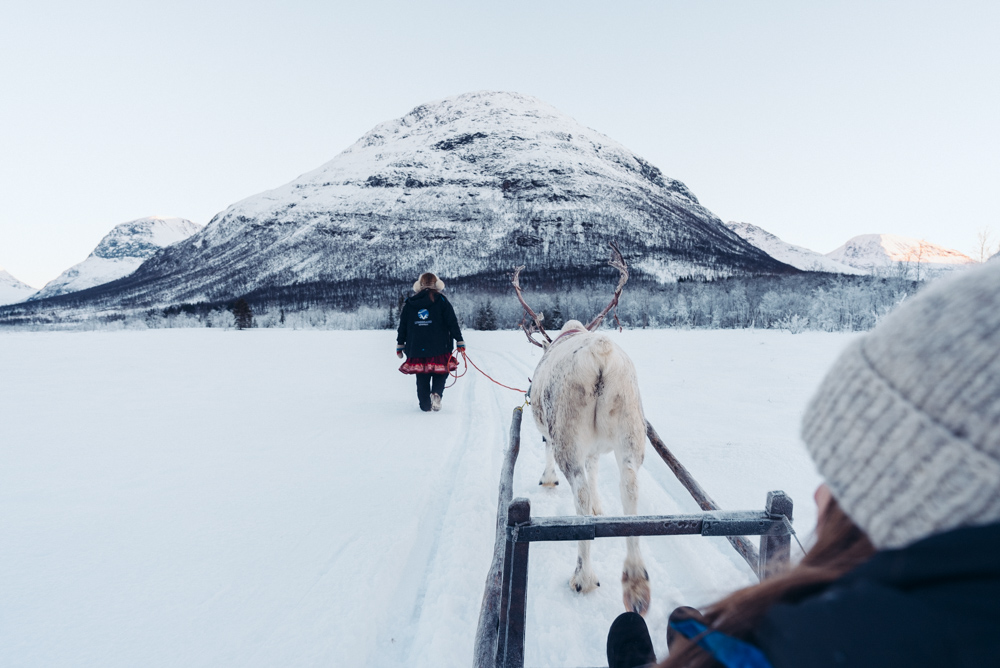 reindeer sledding tromso norway