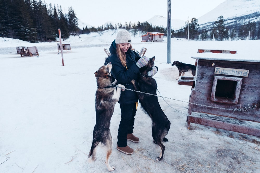 huskies camp tamok norway