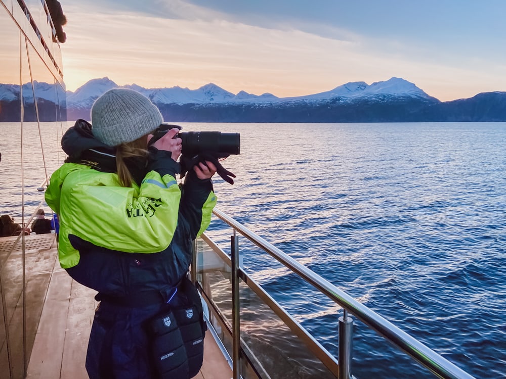 whale watching tour in Tromsø, Norway