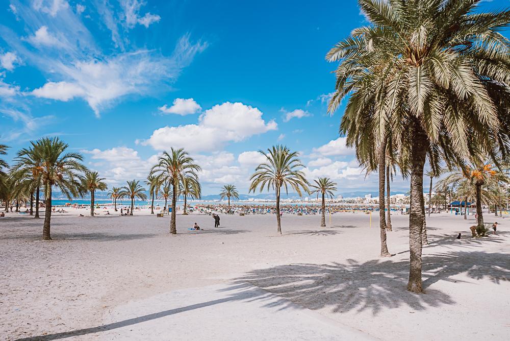 playa s'arenal mallorca