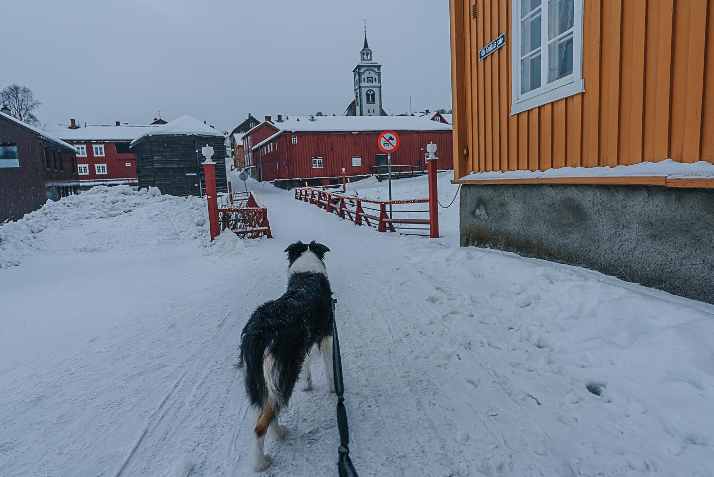 January in Røros, Norway