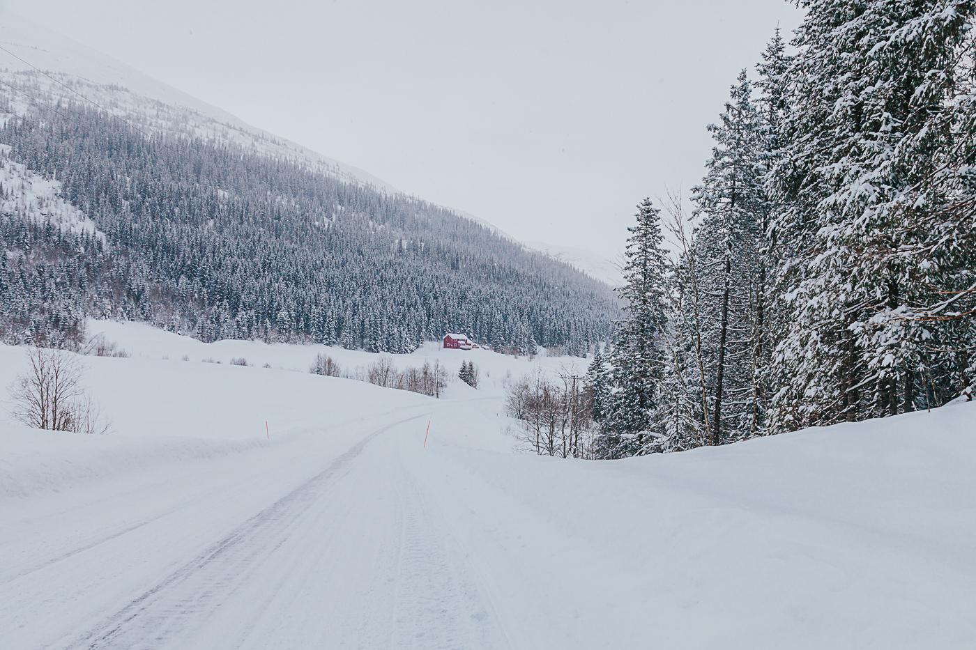 snowy road in Norway