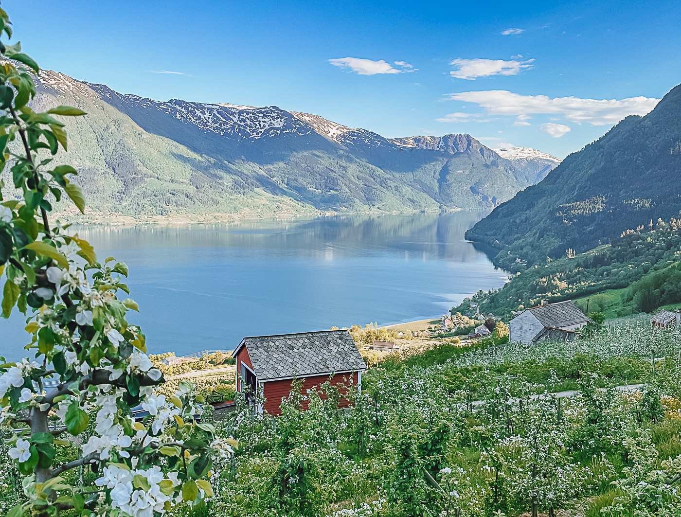 hardangerfjord Norway in May