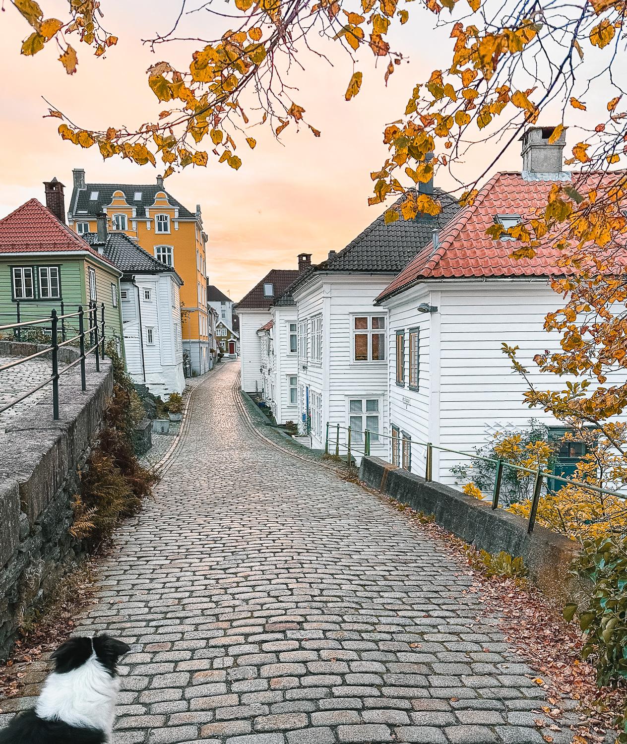 Nordnes neighborhood in Bergen, Norway