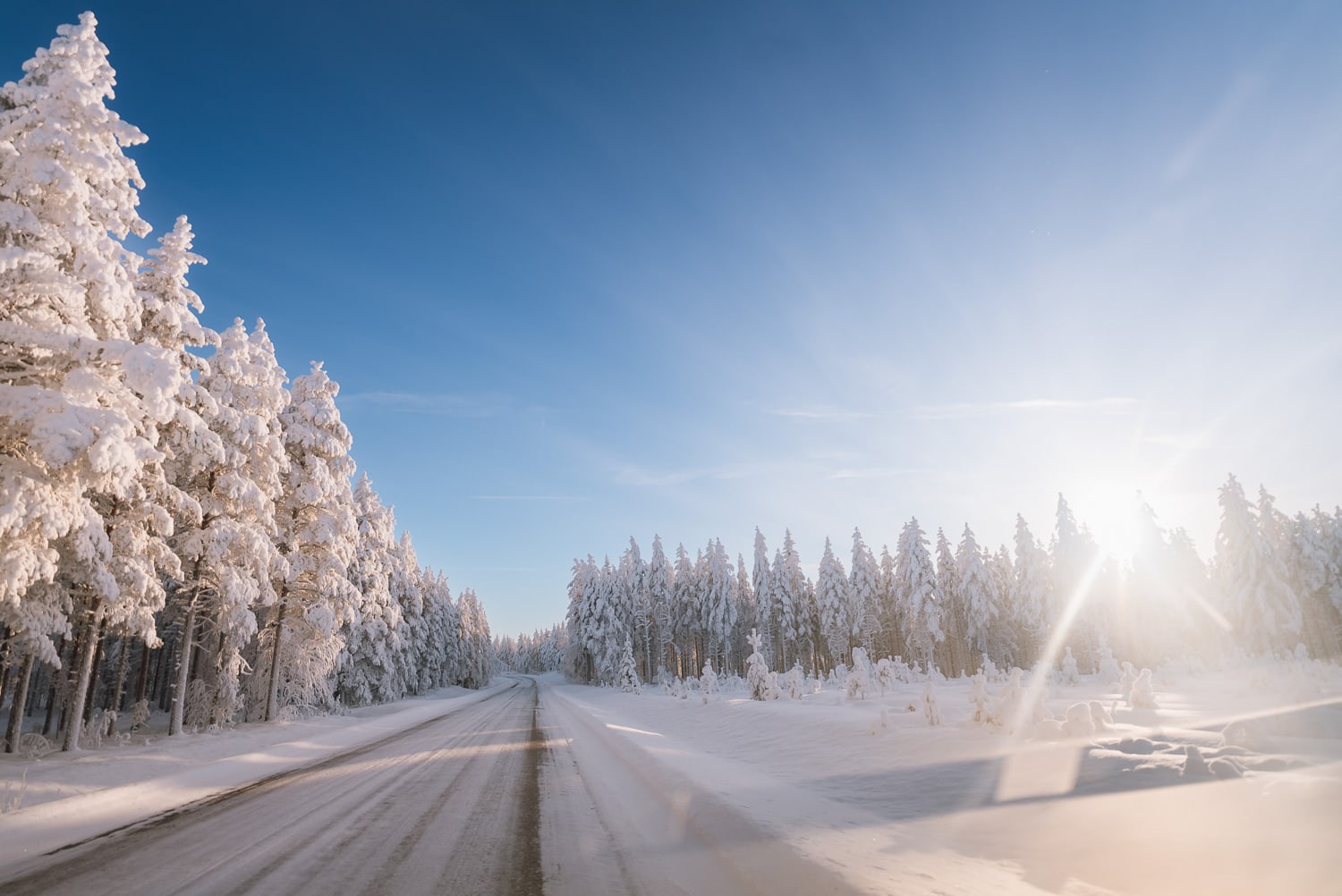 northern Finland in February