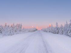 Pink skies and snowy trees in Northern finland