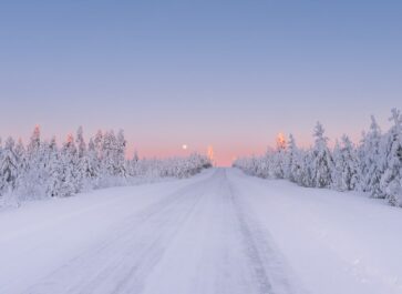 Pink skies and snowy trees in Northern finland