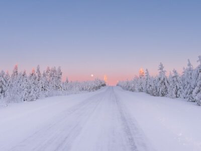 Pink skies and snowy trees in Northern finland
