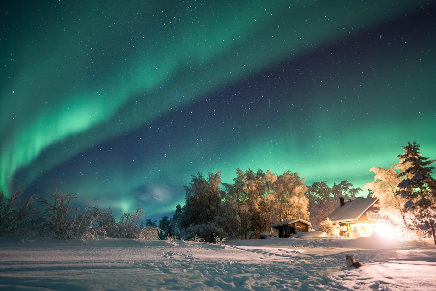northern lights over a snowy cabin in northern finland